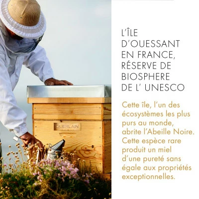 Guerlain Abeille Royale Honey Cataplasm Mask 4 Guerlain Abeille Royale Honey Cataplasm Mask – Image 2