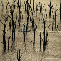 Guerlain Aqua Allegoria Forte Rosa Rossa Eau De Parfum -Guerlain Soldes Magasin aqua allegoria forte rosa rossa eau de parfum 6