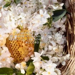 Guerlain Aqua Allegoria Harvest Nerolia Vetiver Eau De Toilette -Guerlain Soldes Magasin aqua allegoria harvest nerolia vetiver 2