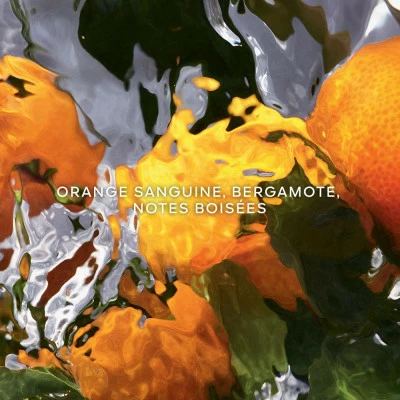 Guerlain Aqua Allegoria Orange Soleia Eau De Toilette 4 Guerlain Aqua Allegoria Orange Soleia Eau De Toilette – Image 2