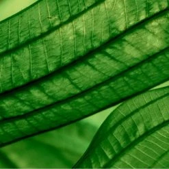 Biotherm Aquasource Aura Concentrate Sérum Régénérant Hydratation Et éclat -Guerlain Soldes Magasin aquasource aura concentrate serum regenerant hydratation et eclat 7