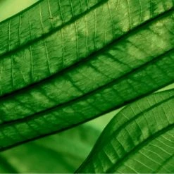 Biotherm Aquasource Night Spa Soin De Nuit Triple Effet : Réhydrate, Lisse Et Apaise 9 Biotherm Aquasource Night Spa Soin De Nuit Triple Effet : Réhydrate, Lisse Et Apaise -Guerlain Soldes Magasin aquasource night spa soin de nuit triple effet rehydrate lisse et apaise 3