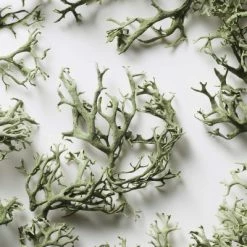 Big Pony Eau De Toilette -Guerlain Soldes Magasin big pony blue edt 3