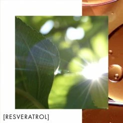 Biotherm Blue Therapy Crème De Nuit Nutrition Et Éclat -Guerlain Soldes Magasin blue therapy creme de nuit nutrition et eclat 2