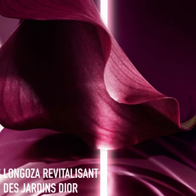 DIOR Capture Totale Super Potent Rich Creme Crème Riche Anti-âge Global 6 DIOR Capture Totale Super Potent Rich Creme Crème Riche Anti-âge Global – Image 4