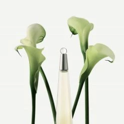 Issey Miyake Coffret L’Eau D’Issey Coffret Pour Femme -Guerlain Soldes Magasin coffret leau dissey eau de toilette 2