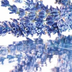 Coffret Mon Guerlain Coffret Pour Femme -Guerlain Soldes Magasin coffret mon guerlain eau de parfum 3