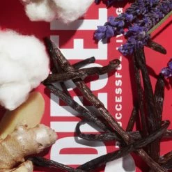 D By Diesel Eau De Toilette -Guerlain Soldes Magasin d by diesel 1 2