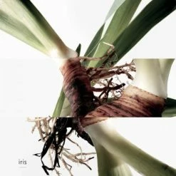 Hermès Eau De Gentiane Blanche Eau De Cologne -Guerlain Soldes Magasin eau gentiane blanc 3