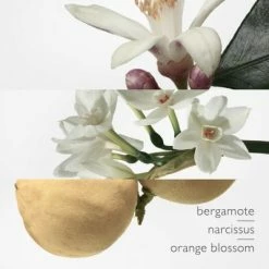 Hermès Eau De Narcisse Bleu Eau De Cologne -Guerlain Soldes Magasin eau narcisse bleu 2