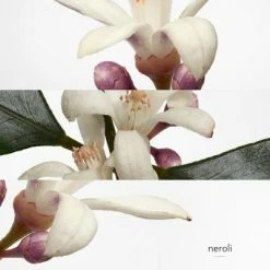 Hermès Eau De Néroli Doré Eau De Cologne -Guerlain Soldes Magasin eau neroli dore 3