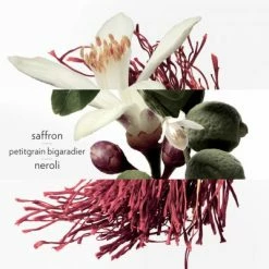 Hermès Eau De Néroli Doré Eau De Cologne -Guerlain Soldes Magasin eau neroli dore 6