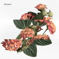 Hermès Eau De Rhubarbe écarlate Eau De Cologne -Guerlain Soldes Magasin eau rhubarb ecarl 1 4