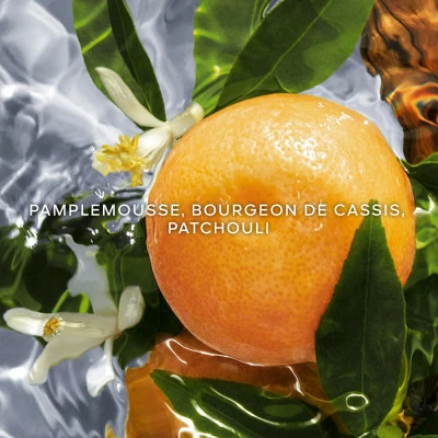 Guerlain Aqua Allegoria Pamplelune Eau De Toilette 4 Guerlain Aqua Allegoria Pamplelune Eau De Toilette – Image 2