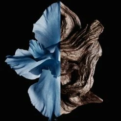 Gentleman Eau De Toilette Intense -Guerlain Soldes Magasin gentleman eau de toilette intense 3