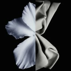 Gentleman Eau De Toilette -Guerlain Soldes Magasin gentleman edt new 7