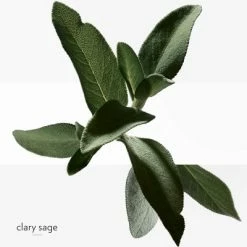 Hermès H24 Déodorant 14 Hermès H24 Déodorant -Guerlain Soldes Magasin h24 deo fraicheur 4