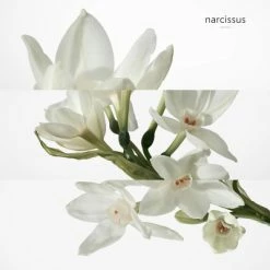 Hermès H24 Savon -Guerlain Soldes Magasin h24 savon 5