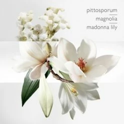 Hermès Un Jardin Sur La Lagune Eau De Toilette -Guerlain Soldes Magasin jardin lagune edt 3