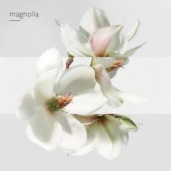 Hermès Un Jardin Sur La Lagune Eau De Toilette -Guerlain Soldes Magasin jardin lagune edt 4