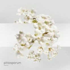 Hermès Un Jardin Sur La Lagune Eau De Toilette -Guerlain Soldes Magasin jardin lagune edt 5