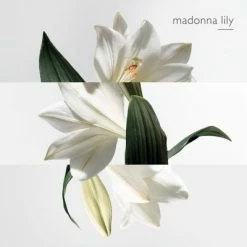 Hermès Un Jardin Sur La Lagune Eau De Toilette -Guerlain Soldes Magasin jardin lagune edt 6