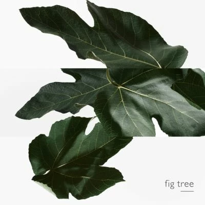 Hermès Un Jardin En Méditerranée Eau De Toilette 6 Hermès Un Jardin En Méditerranée Eau De Toilette – Image 4