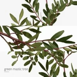 Hermès Un Jardin En Méditerranée Eau De Toilette 13 Hermès Un Jardin En Méditerranée Eau De Toilette -Guerlain Soldes Magasin jardin medit edt 4