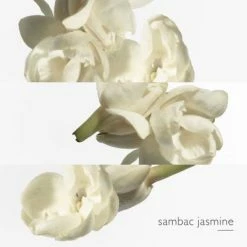 Hermès Le Jardin De Monsieur Li Eau De Toilette -Guerlain Soldes Magasin jardin mr li edt 4