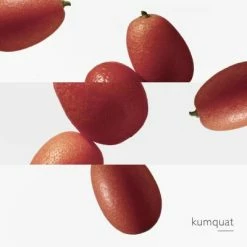 Hermès Le Jardin De Monsieur Li Eau De Toilette -Guerlain Soldes Magasin jardin mr li edt 5