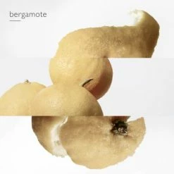 Hermès Le Jardin De Monsieur Li Eau De Toilette -Guerlain Soldes Magasin jardin mr li edt 6