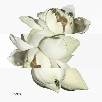 Hermès Un Jardin Sur Le Nil Eau De Toilette 7 Hermès Un Jardin Sur Le Nil Eau De Toilette – Image 5