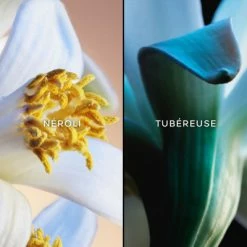 Guerlain Jardins De Bagatelle Eau De Toilette -Guerlain Soldes Magasin jardins de bagatelle eau de toilette 2