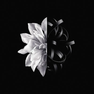 L'Interdit Eau De Toilette 4 L'Interdit Eau De Toilette – Image 2