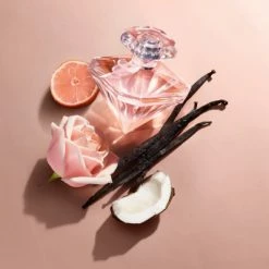 Lancome La Nuit Trésor Nude Eau De Toilette -Guerlain Soldes Magasin la nuit tresor nude 5