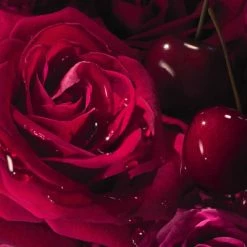 Lancome La Nuit Trésor Intense Eau De Parfum Intense -Guerlain Soldes Magasin la nuit tresorintense 3