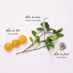 Mauboussin Eau De Parfum -Guerlain Soldes Magasin mauboussin eau de parfum 3