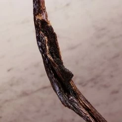 Paco Rabanne Olympéa Lait Pour Le Corps -Guerlain Soldes Magasin olympea bdy lotion 2