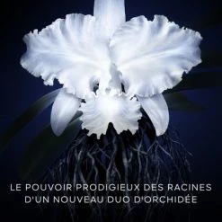 Guerlain Orchidée Impériale La Crème - La Recharge -Guerlain Soldes Magasin orchidee imperiale la creme la recharge 12