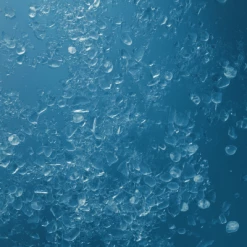 Polo Deep Blue Eau De Parfum -Guerlain Soldes Magasin polo deep blue edp 2