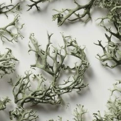 Polo Sport TOIL. HOMME 13 Polo Sport TOIL. HOMME -Guerlain Soldes Magasin polo sport eau de toilette 4