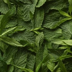 Polo Sport TOIL. HOMME 14 Polo Sport TOIL. HOMME -Guerlain Soldes Magasin polo sport eau de toilette 5