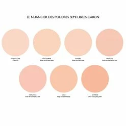 Poudre Semi-Libre Poudre Fine 17 Poudre Semi-Libre Poudre Fine -Guerlain Soldes Magasin poudre semi libre poudre 7