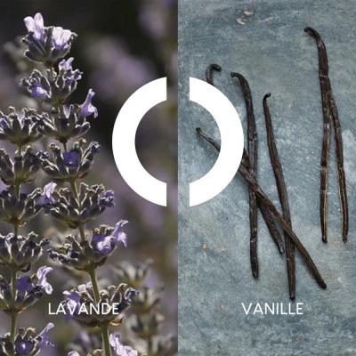 Pour Un Homme De CARON Après-Rasage 6 Pour Un Homme De CARON Après-Rasage – Image 4