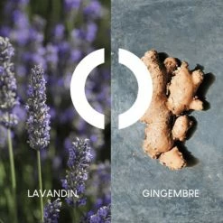 Pour Un Homme De CARON Le Matin Eau De Toilette Vivifiante -Guerlain Soldes Magasin pour un homme de caron le matin 3