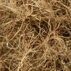 Safari Men Eau De Toilette -Guerlain Soldes Magasin safari homme edt 4