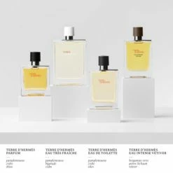 Terre D'Hermès Parfum -Guerlain Soldes Magasin terre hermes parf 1 5