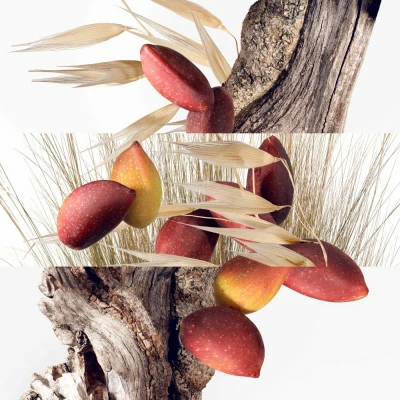 Hermès Un Jardin à Cythère Eau De Toilette 5 Hermès Un Jardin à Cythère Eau De Toilette – Image 3