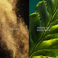 Guerlain Vol De Nuit Eau De Toilette 10 Guerlain Vol De Nuit Eau De Toilette -Guerlain Soldes Magasin vol de nuit edt 2