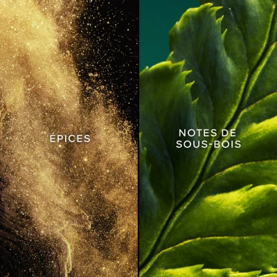 Guerlain Vol De Nuit Eau De Toilette 5 Guerlain Vol De Nuit Eau De Toilette – Image 3